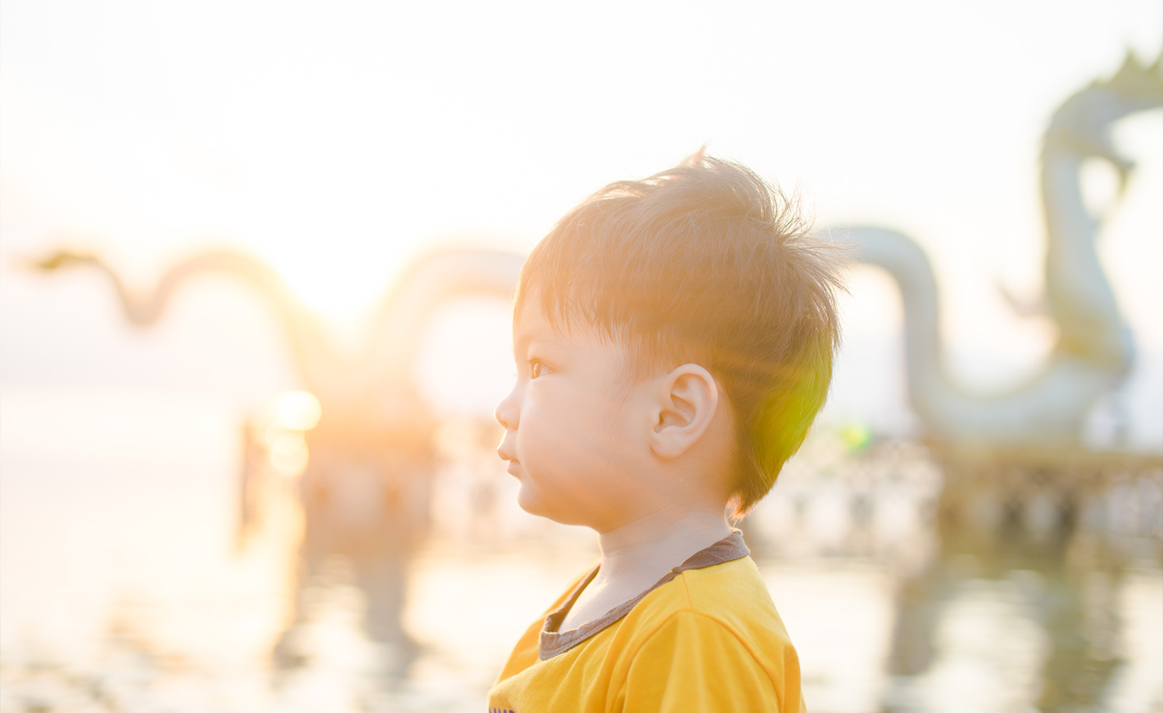 コンセプトイメージ